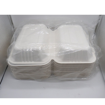 Bagasse 사탕수수 식품 용기