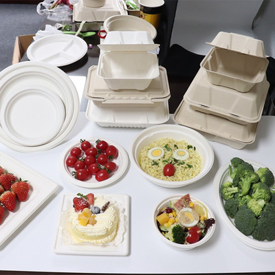 Bagasse 사탕수수 식품 용기