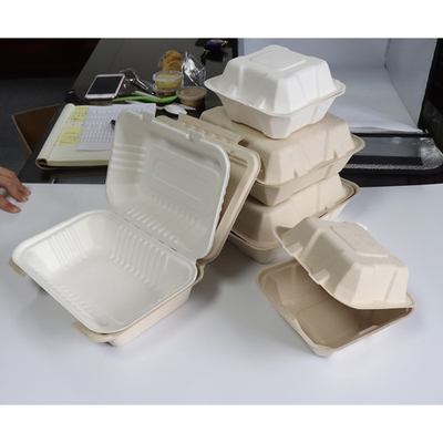 Bagasse 사탕수수 식품 용기