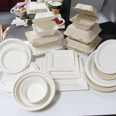 Bagasse 사탕수수 식품 용기