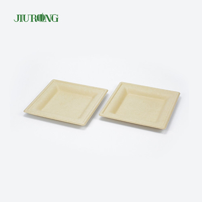 Eco 친절한 처분할 수 있는 사탕수수 식품 용기 생물 분해성 사탕수수 스시 쟁반