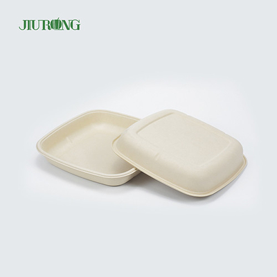 Bagasse 테이크 아웃 일회용 사탕 수수 종이 접시 생분해 성