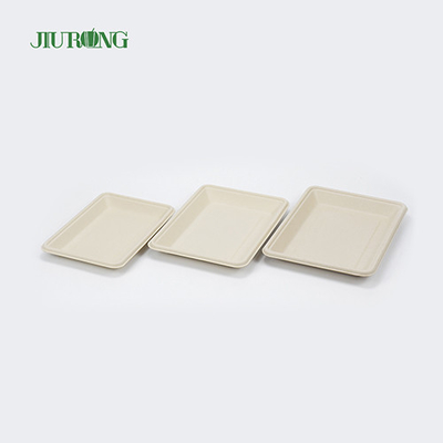 햄버거 빵을 위한 사각 처분할 수 있는 생분해성 사탕수수 판 160mm