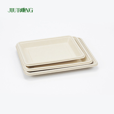 햄버거 빵을 위한 사각 처분할 수 있는 생분해성 사탕수수 판 160mm