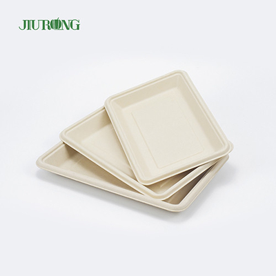 햄버거 빵을 위한 사각 처분할 수 있는 생분해성 사탕수수 판 160mm