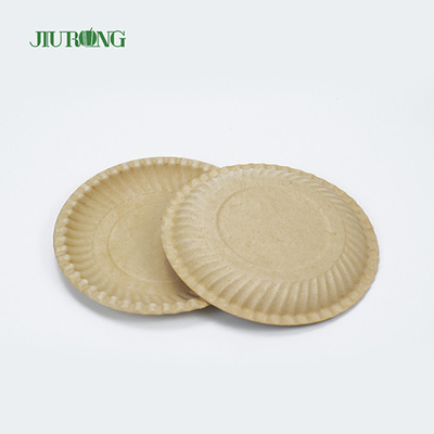 재상할 수 있는 생물 분해성 사탕수수 식품 용기 Eco 친절한 둥근 판 258mm