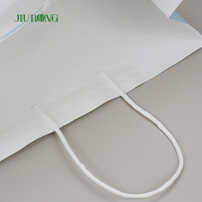 방수 생물 분해성 주문 크래프트 종이 봉지 Eco 친절한 320mm
